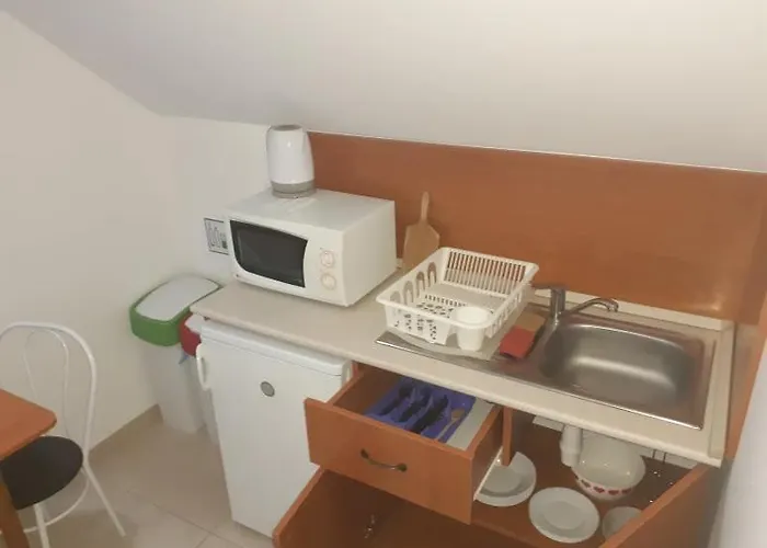 게스트하우스 Globus Guesthouse, Vendeghaz